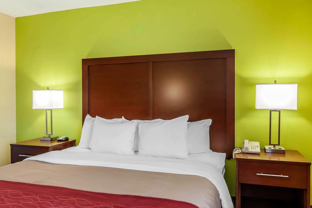 Comfort Inn St Petersburg North Εξωτερικό φωτογραφία
