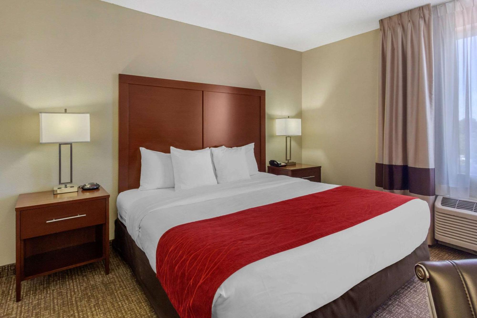 Comfort Inn St Petersburg North Εξωτερικό φωτογραφία