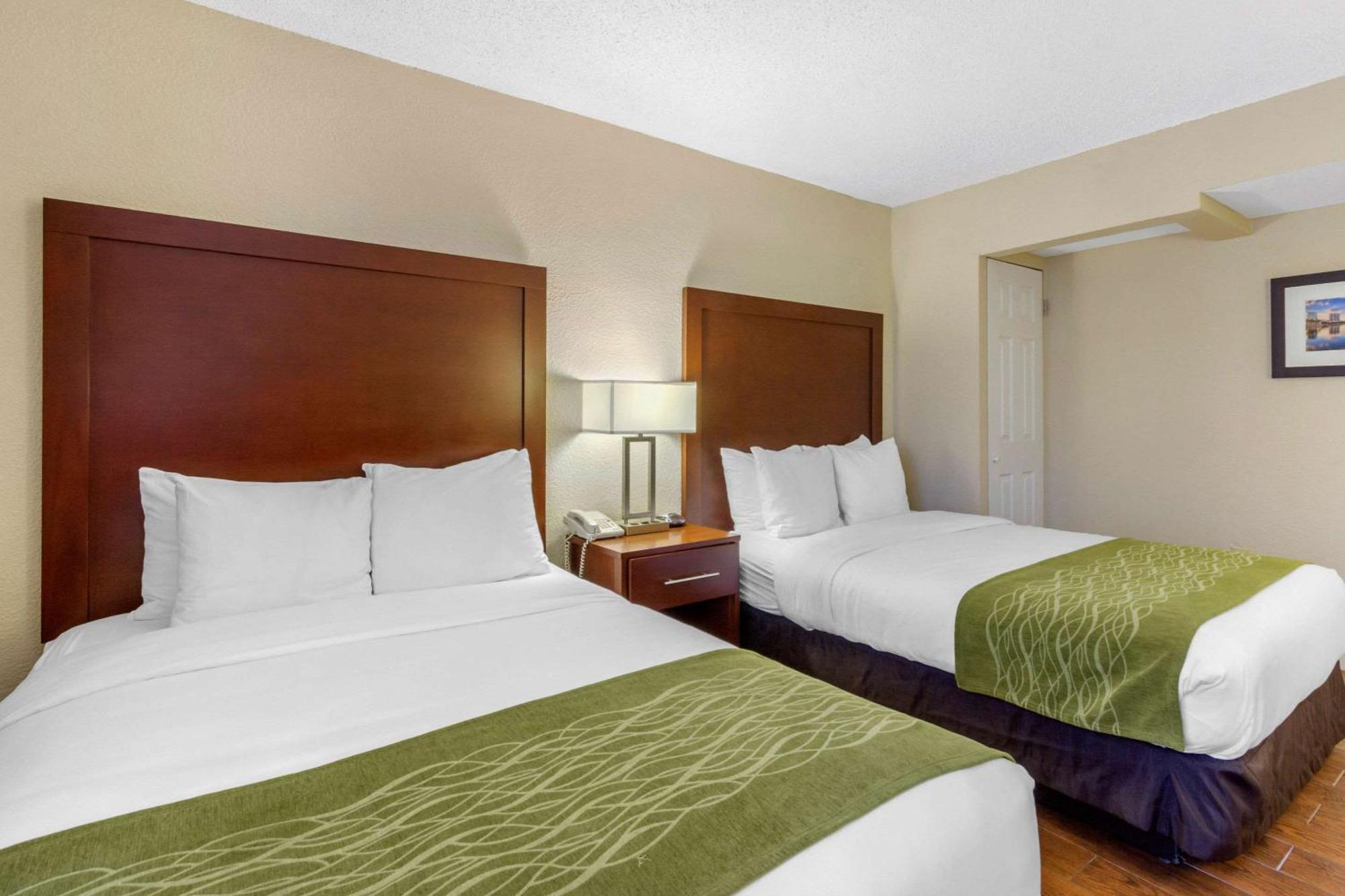 Comfort Inn St Petersburg North Εξωτερικό φωτογραφία