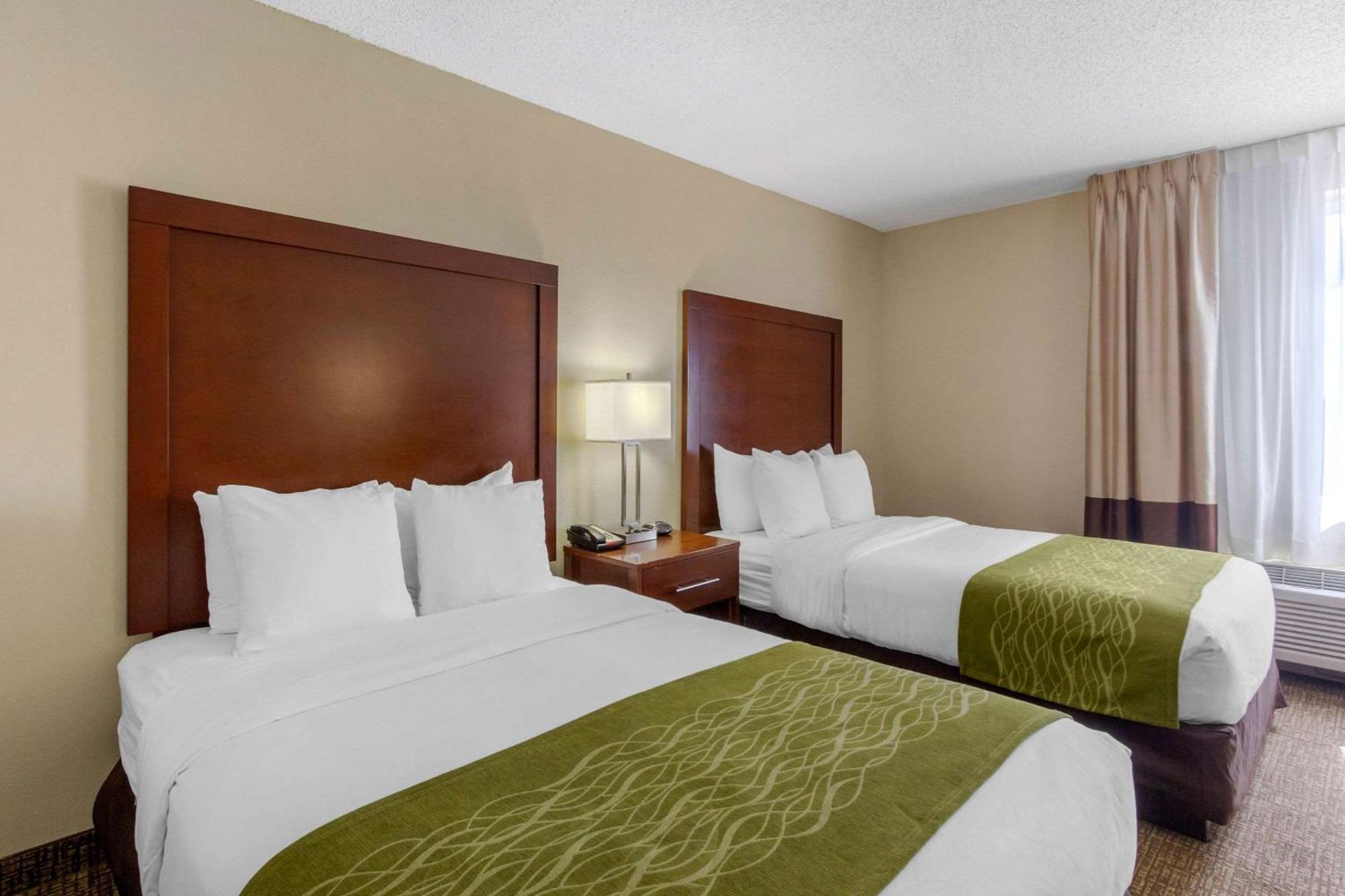 Comfort Inn St Petersburg North Εξωτερικό φωτογραφία